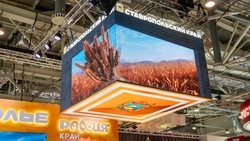 Стенд Ставрополья на международной выставке посетили более миллиона человек 