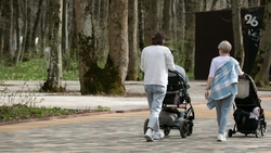 На Ставрополье число прерываний беременности сократилось на 13%