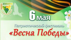 Патриотический фестиваль в Будённовске перенесли из-за плохой погоды