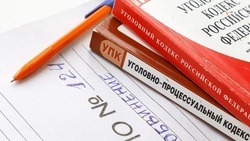 Главе стройфирмы на Ставрополье назначили 12 лет колонии за кражу земель