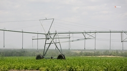 Мелиорацией на Ставрополье охватят более 6 тыс. га сельхозплощадей