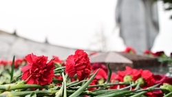 Цветы в дань памяти Неизвестному Солдату возложили в Будённовске