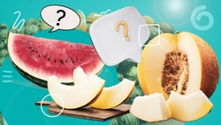 Зелёный хвостик и жёлтое пятно: как выбрать самый сочный арбуз в Будённовске