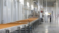 Ставропольское предприятие нарастило производство снеков 