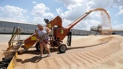 Ставропольские аграрии собрали более 6 млн тонн зерна 