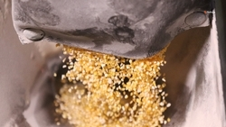 Завод по выпуску модифицированного кукурузного крахмала откроют на Ставрополье