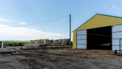 До начала октября АПК Ставрополья заготовит 1,5 млн тонн кормов