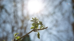 Синоптики прогнозируют тёплый апрель на Ставрополье