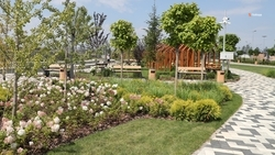 Около 11 тыс. прикумчан проголосовали за благоустройство сквера им. Кочубея