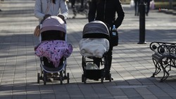 На Ставрополье ускорилась регистрация младенцев благодаря суперсервису