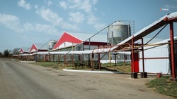 Элеваторный комплекс для хранения сельхозсырья возведут на Ставрополье