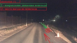 В Будённовском округе автомобилист сбил женщину-пешехода и скрылся