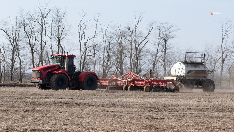 Сев озимых завершают в Будённовском округе 
