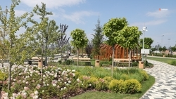 Ставропольцы могут поддержать регион в конкурсе по благоустройству от Минстроя РФ 