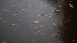 Ставропольцев ждёт похолодание до +11 градусов к выходным