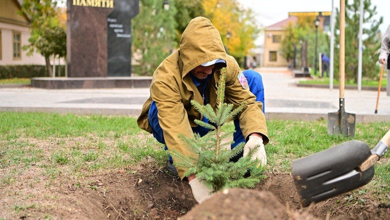 В парках и скверах Будённовска высадили свыше 500 деревьев