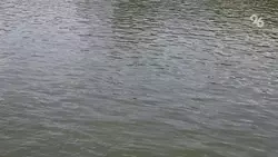 В Будённовском округе продолжается подъём уровня воды в Куме — губернатор