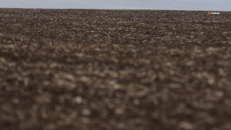 Ставрополье изучает возможности экспорта удобрений в Узбекистан