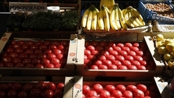 На Ставрополье на 10% увеличат число нестационарных торговых объектов