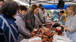 Продуктовая ярмарка прошла в Будённовске