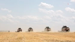 На полях Будённовского округа началась уборка урожая