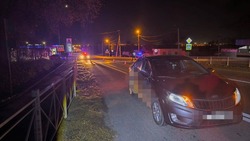 Житель села Орловка на легковушке сбил женщину на пешеходе