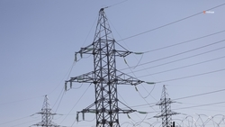 Свыше 1,1 тыс. птицезащитных устройств установят на ставропольских ЛЭП