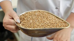 Каждый год ставропольские аграрии собирают около 9 млн тонн зерна