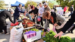 Большая ярмарка прошла в Будённовске