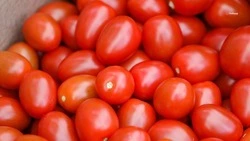 Более 34 тыс. продуктовых ярмарок прошло на Ставрополье за год — губернатор