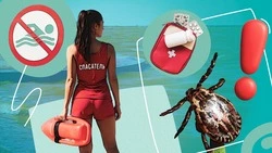 Не трогать змей, пить воду, защищаться от клещей: как будённовцам провести лето без происшествий
