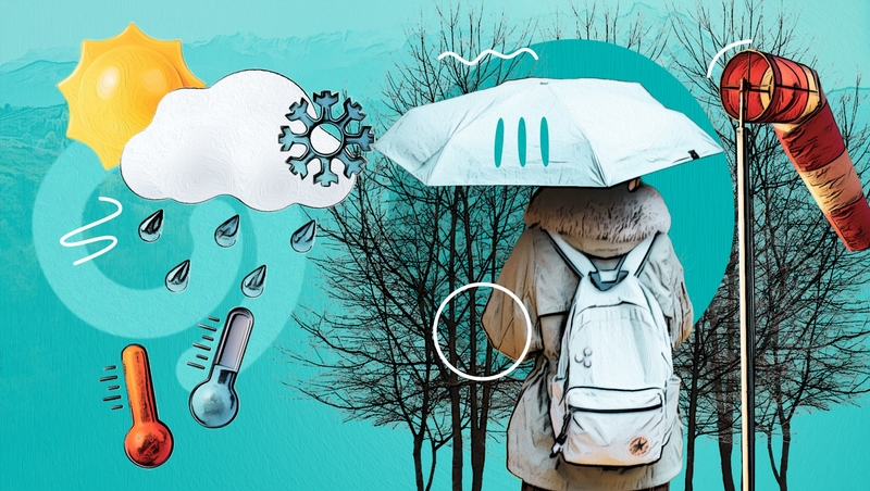 Малоснежная и тёплая: какой обещает быть зима в Будённовском округе