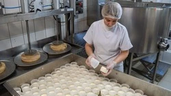 Ставрополье в 2025 году увеличило экспорт молочных изделий вдвое