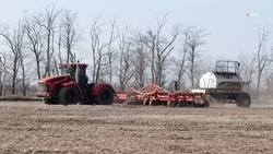 Сев озимых завершают в Будённовском округе 