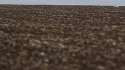 Ставрополье изучает возможности экспорта удобрений в Узбекистан