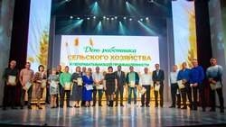Аграриев чествовали в Будённовском округе