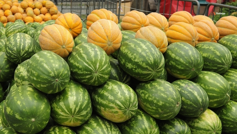 Врач порекомендовала будённовцам не покупать арбузы вдоль дорог