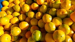 Ввоз мандаринов перед новогодними праздниками снизился в три раза на Ставрополье 