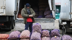 На Ставрополье увеличивают число ярмарочных торговых точек