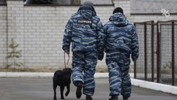 Информация о минировании вуза в Будённовске не подтвердилась