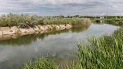 Минприроды: паводковая ситуация в Будённовском округе остаётся на контроле