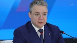 Губернатор Владимиров поручил обеспечить пожарную безопасность на Ставрополье