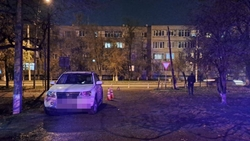 Пятилетний ребёнок погиб под колёсами иномарки в Будённовске
