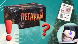 Осматривать перед покупкой, читать инструкцию: как будённовцам не получить штраф за пиротехнику