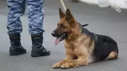 Информация о минировании учебных заведений в Будённовске не подтвердилась