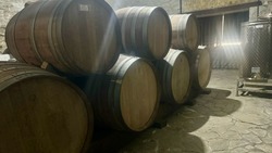 Около 50 тыс. бутылок вина ежегодно производит семейная винодельня на Ставрополье